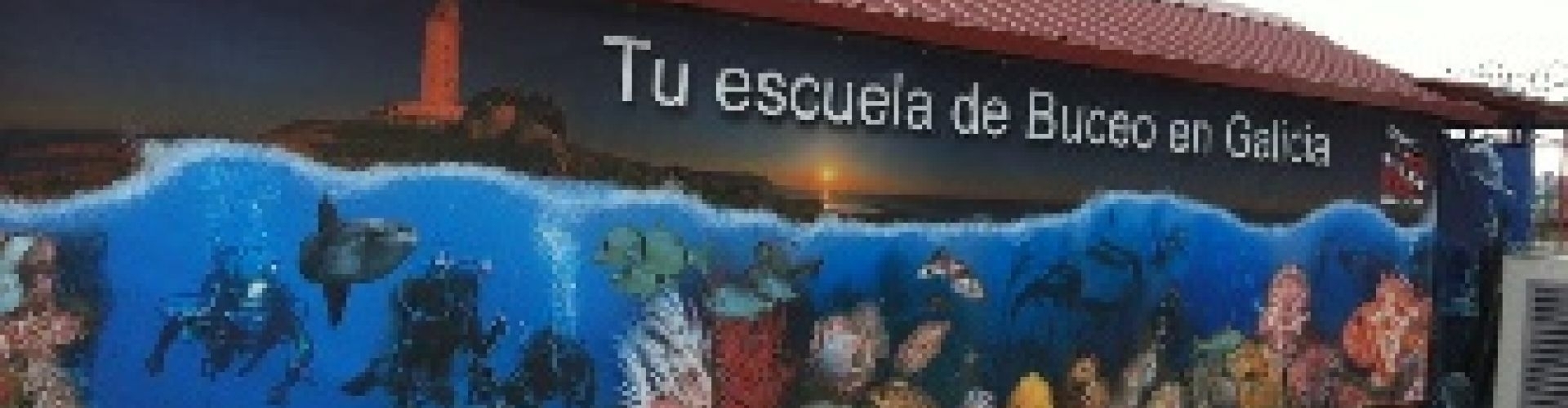 Tu escuela de buceo en Galicia