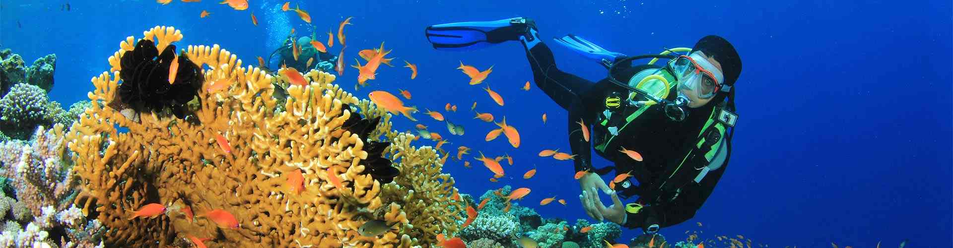 Buceo en Llamas del Mouro