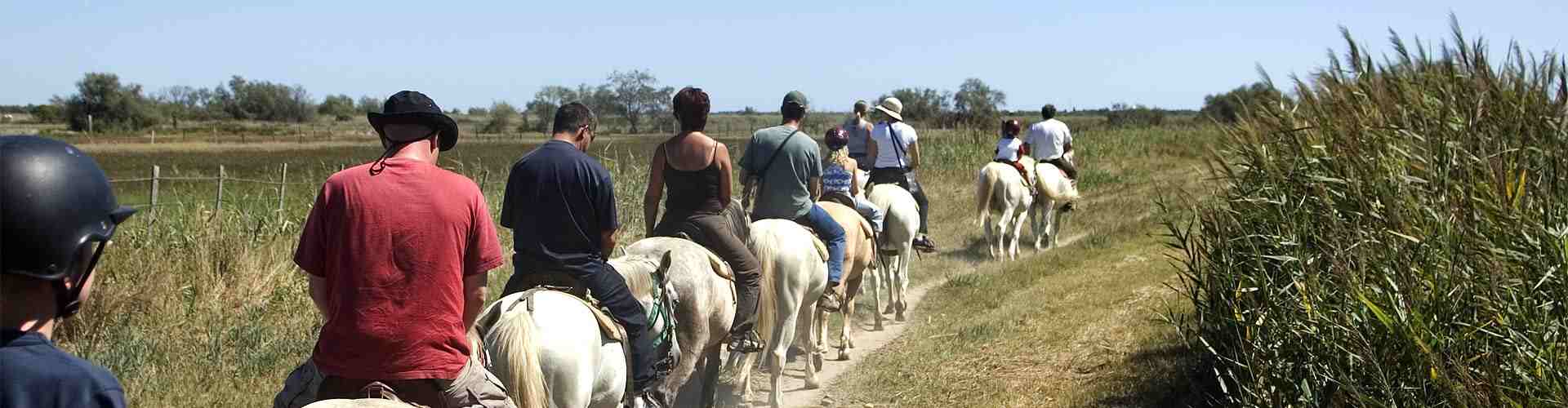 Paseos en caballo en Selgua