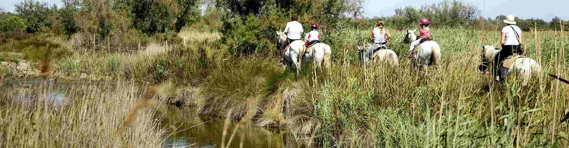 Rutas a caballo en El Molinar