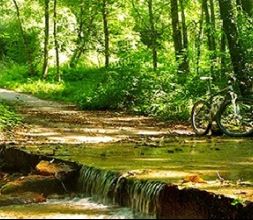 Guiando tu camino el murmullo del agua