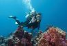 Cursos de buceo