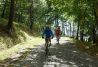 Rutas en bici por Euskadi