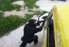 Excelentes escenarios de paintball