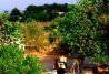Excursiones a caballo privadas y grupos