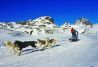 TRINEOS DE PERROS EN EL VALLE DE TENA