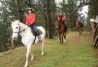 Rutas a Caballo por el rio Miño