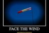 Face The Wind