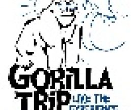 Empresa Gorilla Trip