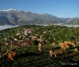 Empresa Ruta´l Quesu y la Sidra