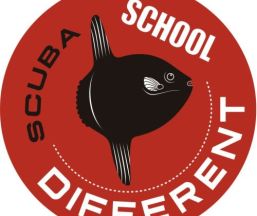  Different Scuba School Empresa  Different Scuba School
