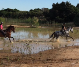 Empresa Doñana Horse Adventure
