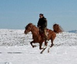 Empresa Gredos A Caballo