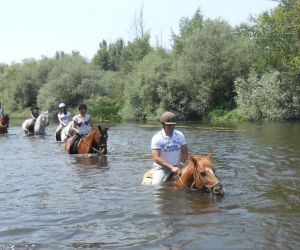 Empresa Caballos de la Ribera