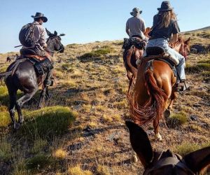 Empresa Equi-libre Sierra Nevada